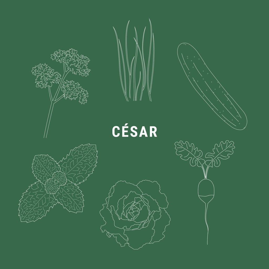 César - Ton Pot' salade fraîcheur