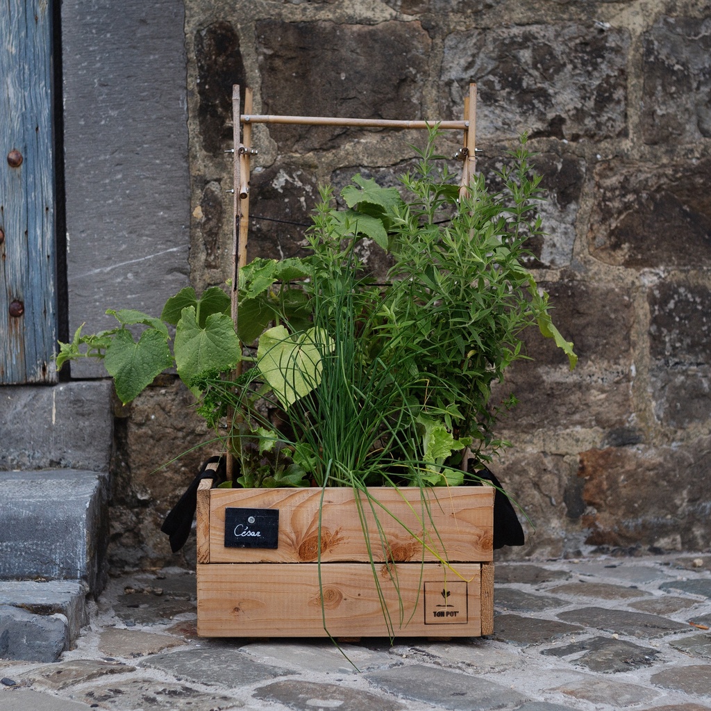 César - Ton Pot' salade fraîcheur